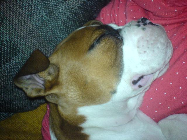 Asleep - Finally!
