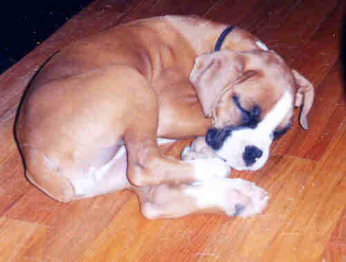 Asleep