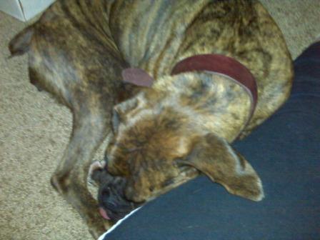 asleep_on_my_leg_2