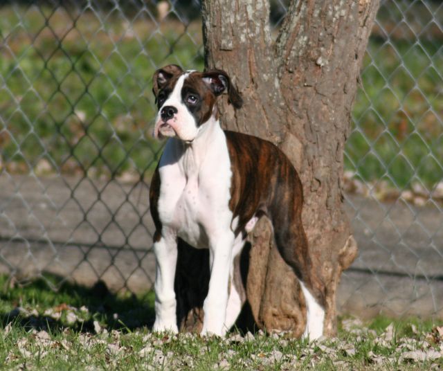 At 14 weeks.