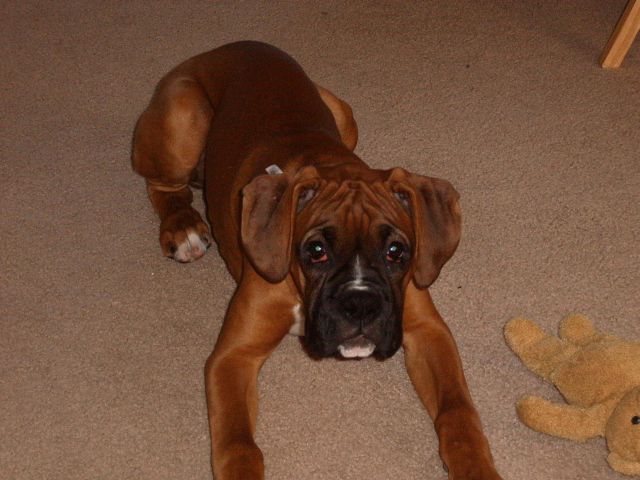 at 14 weeks