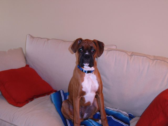 at 7 months
