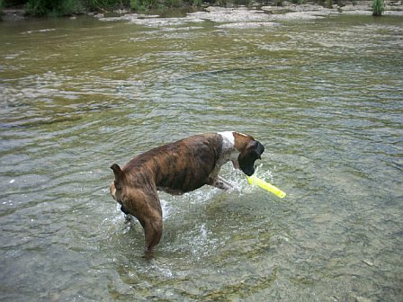 at Bull Creek