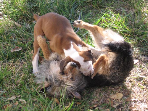 At Play