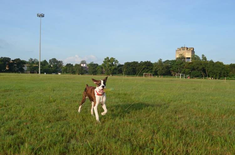 At play