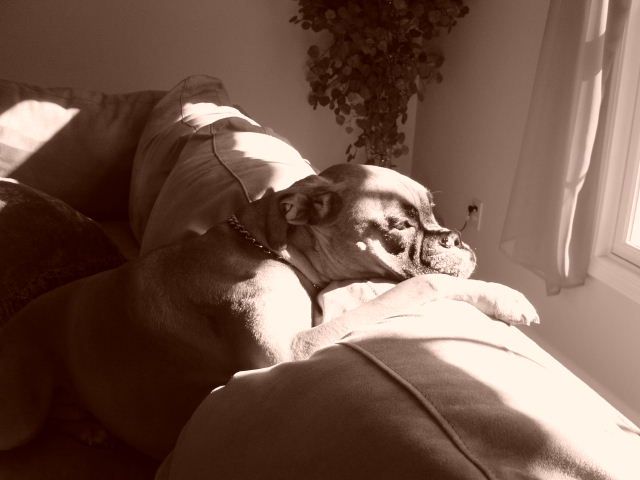 At Rest.....