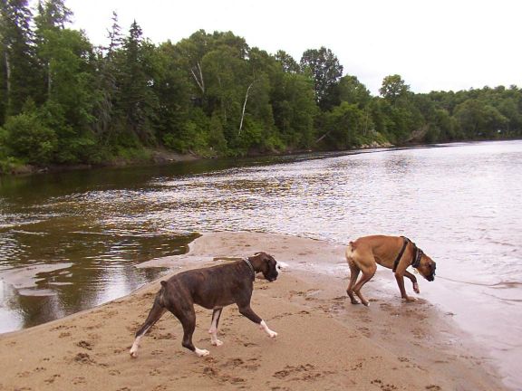 At the beach!