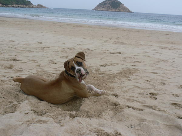 At the beach....