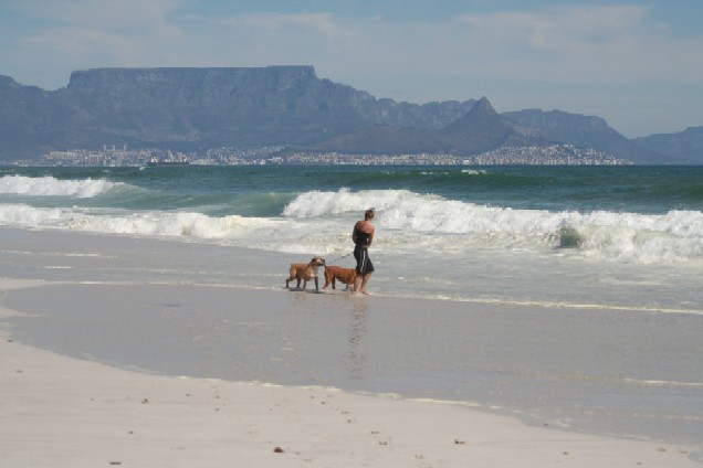 At the beach ..