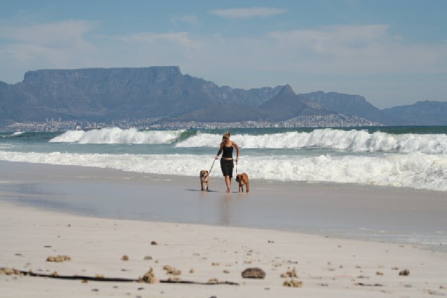 At the beach ...