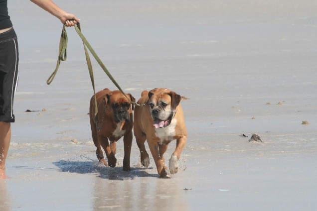 At the beach ....