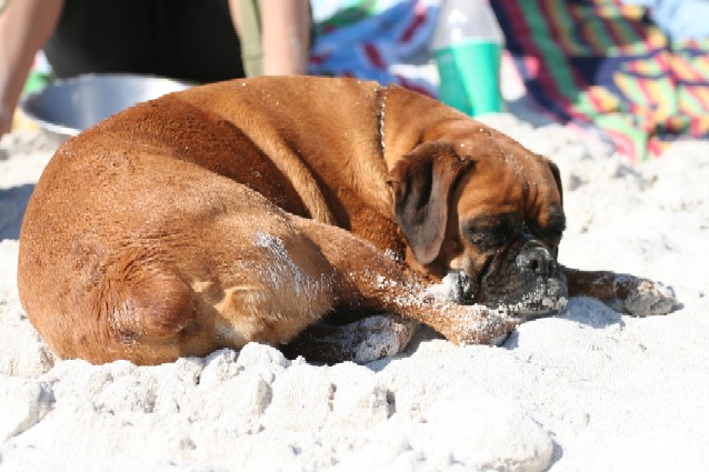 At the beach ..