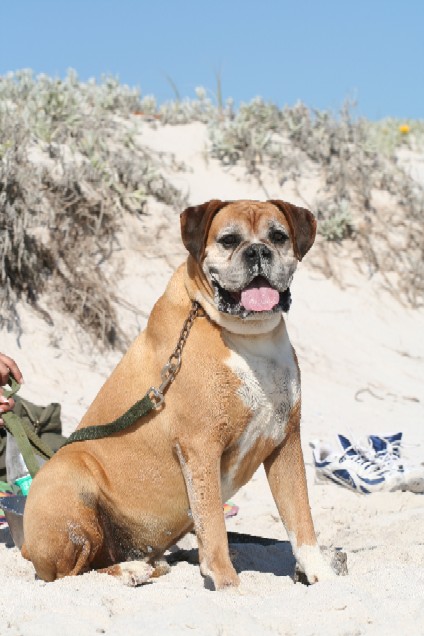 At the beach