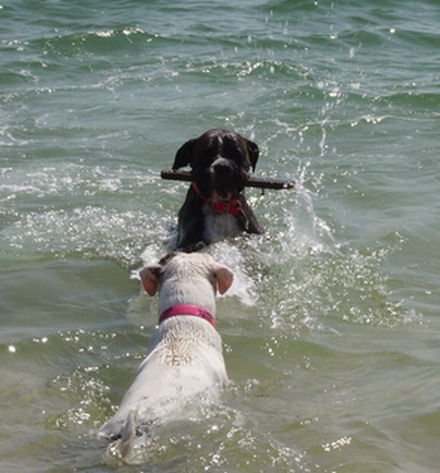 AT THE BEACH