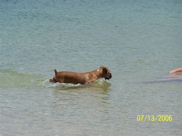 At the beach