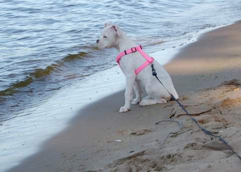 At the beach