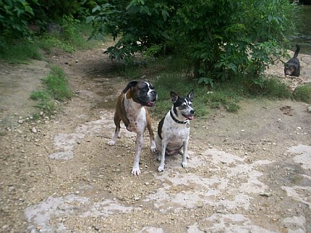at the lake with Zoe