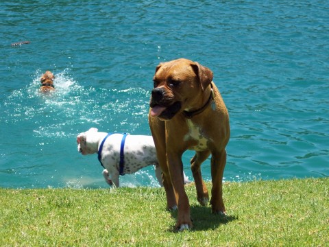 At the lake