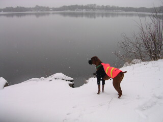 At the Lake...