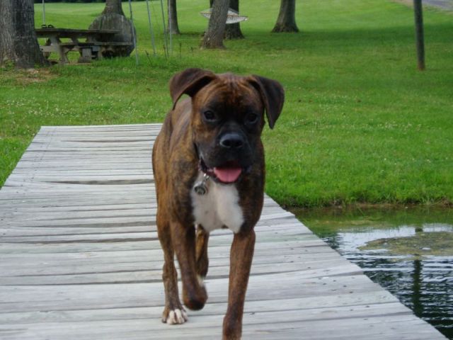 At The Lake
