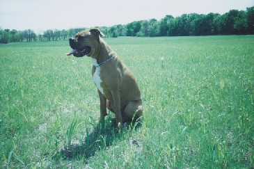 at the park 9 months 60 lbs
