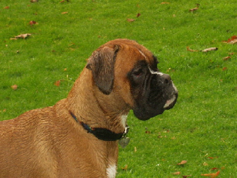 At the park