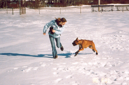 at the park