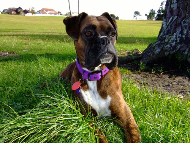 At the park