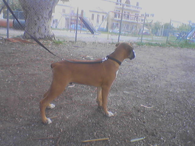 at the park
