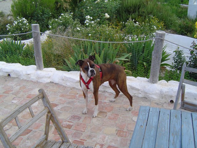 At the patio