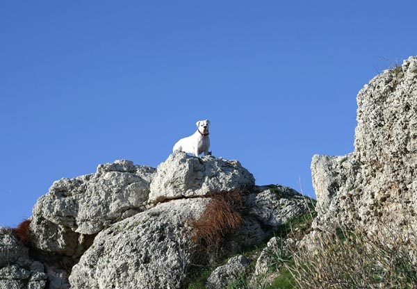 At the top of the hill