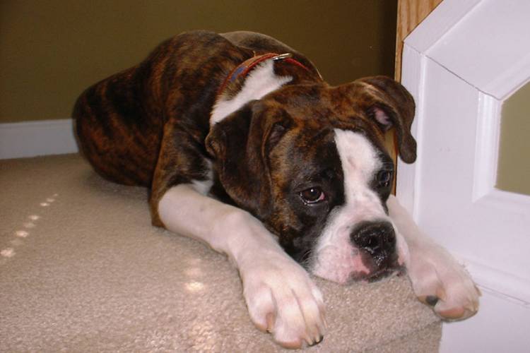 At the top of the stairs!