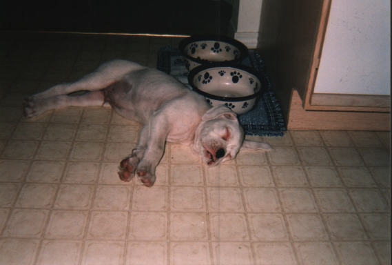 Ate too much