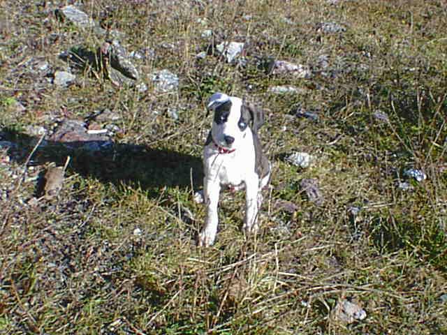 Athos ma premiere grande ballade