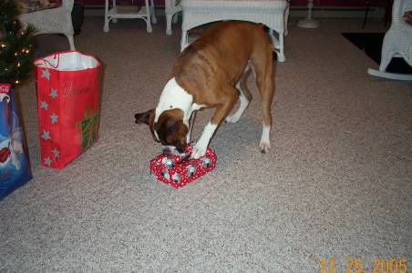 Atlas-Oh boy, another present!