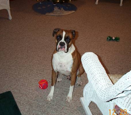 Atlas posing for camera!