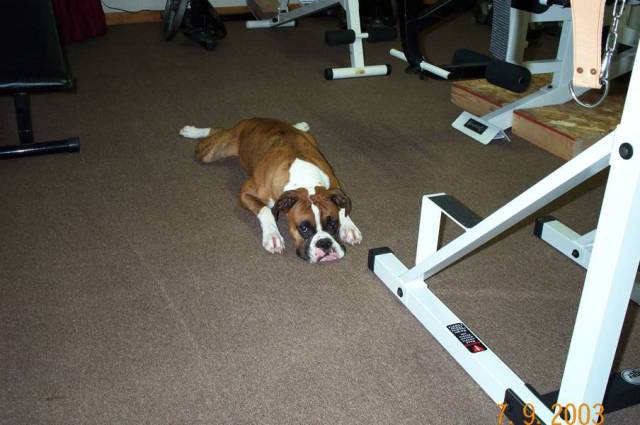 Atlas weight room