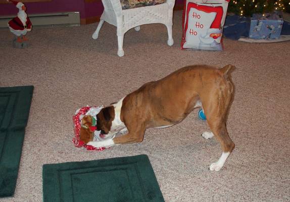 Atlas_Xmas_06-11-2