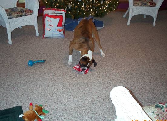 Atlas_Xmas_06-13-2