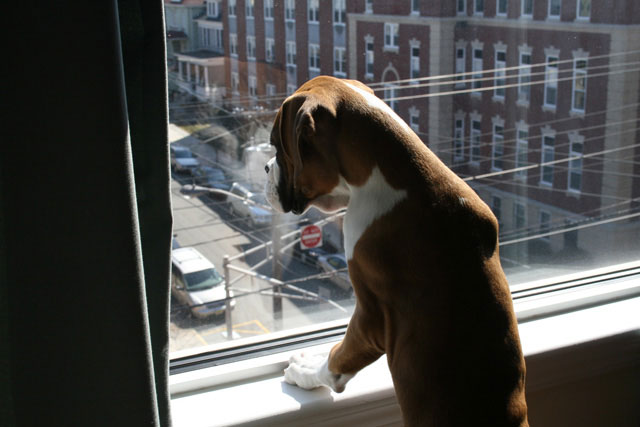 AtlasWindowClose