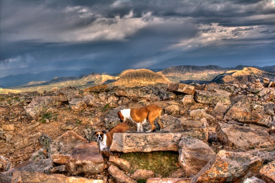 Atop Bald Mountain