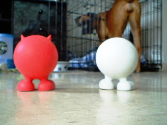 Attack of the Cuzes!!