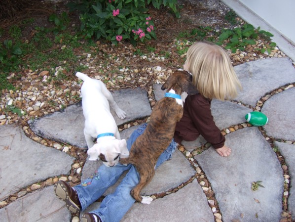 Attack of the puppies!
