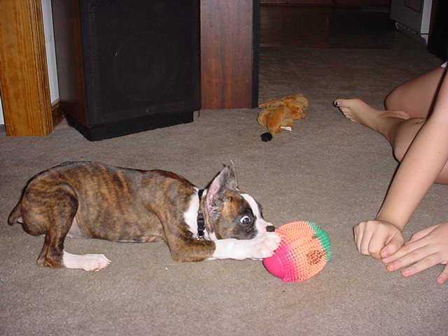 Attack that BALL!!!