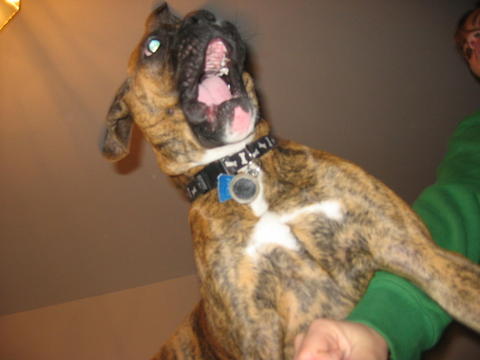 Attack!