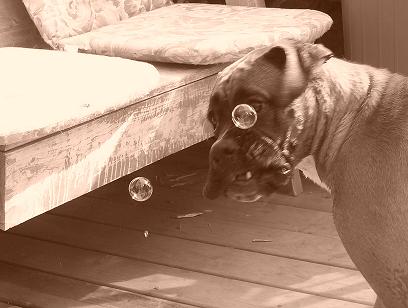 Attacking bubbles