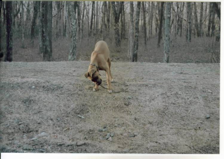 Attacking the stick