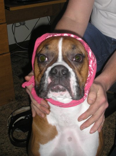 Aunt Jemima