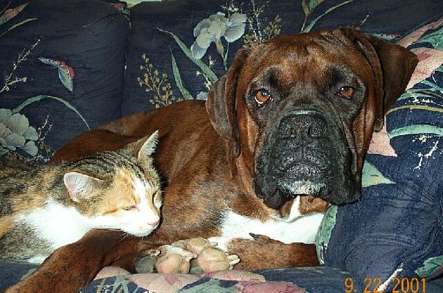 Austin and Magic