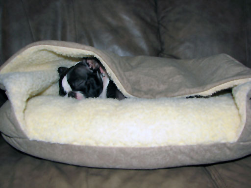 Ava In Her New Bed